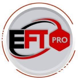 EFT Pro - 1 Year Activation (No Need Dongle)